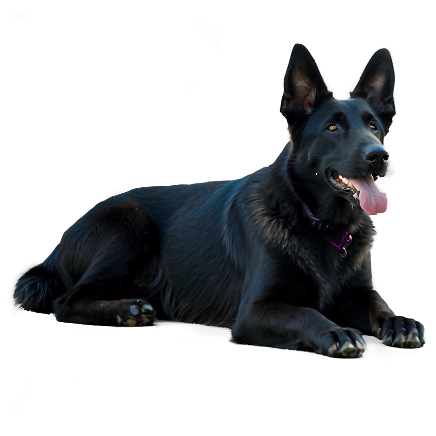 Black German Shepherd Png Ldt5