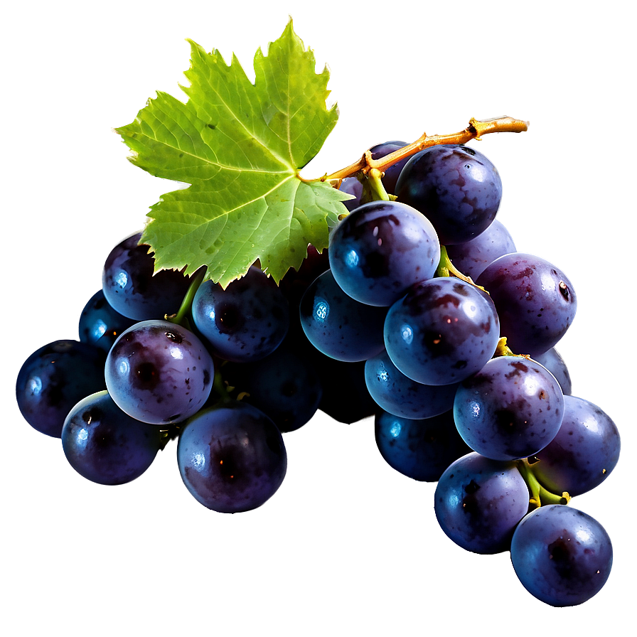 Black Grape Png 05212024