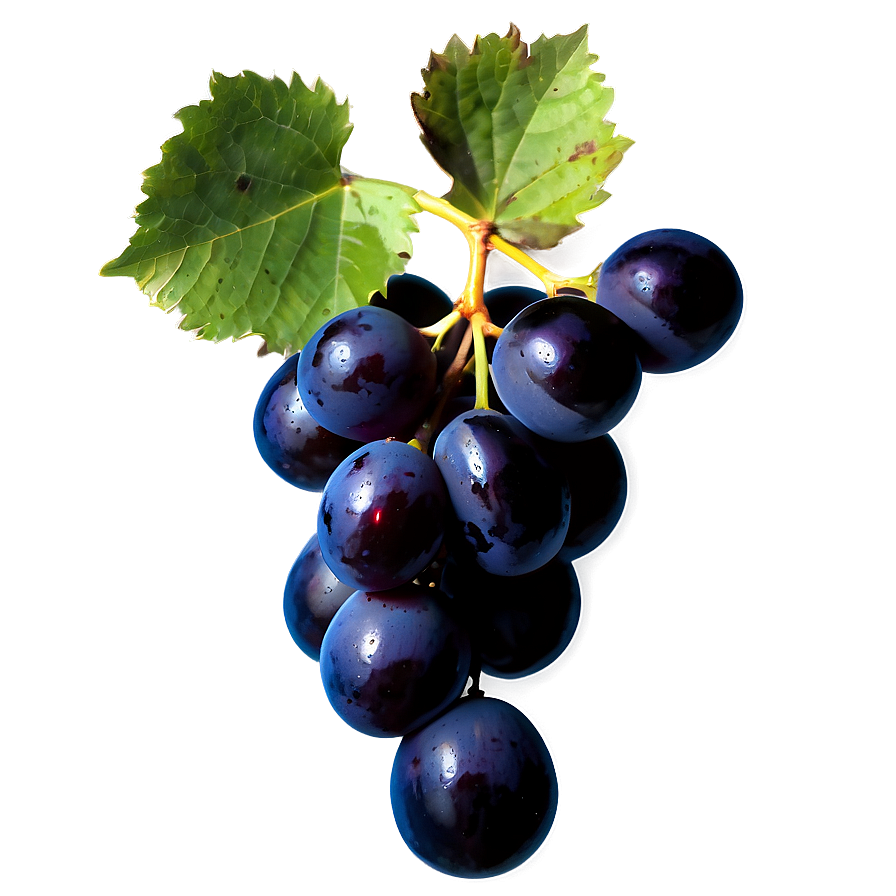 Black Grape Png 67