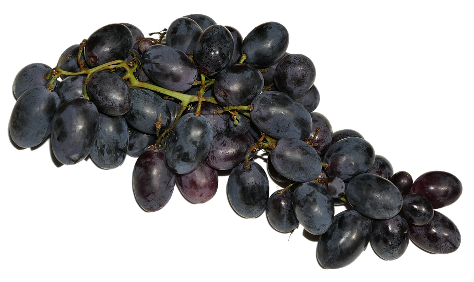 Black Grapes Cluster.png