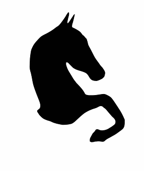 Black Horse Silhouette Graphic