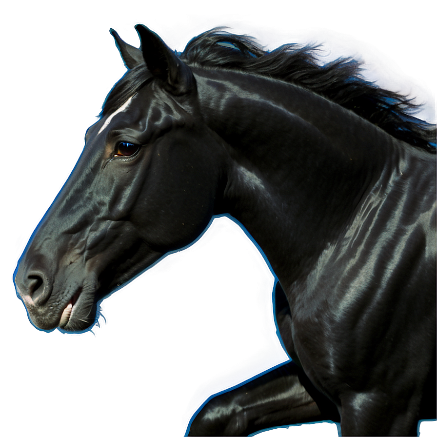 Black Horse With Blue Eyes Png Qwd