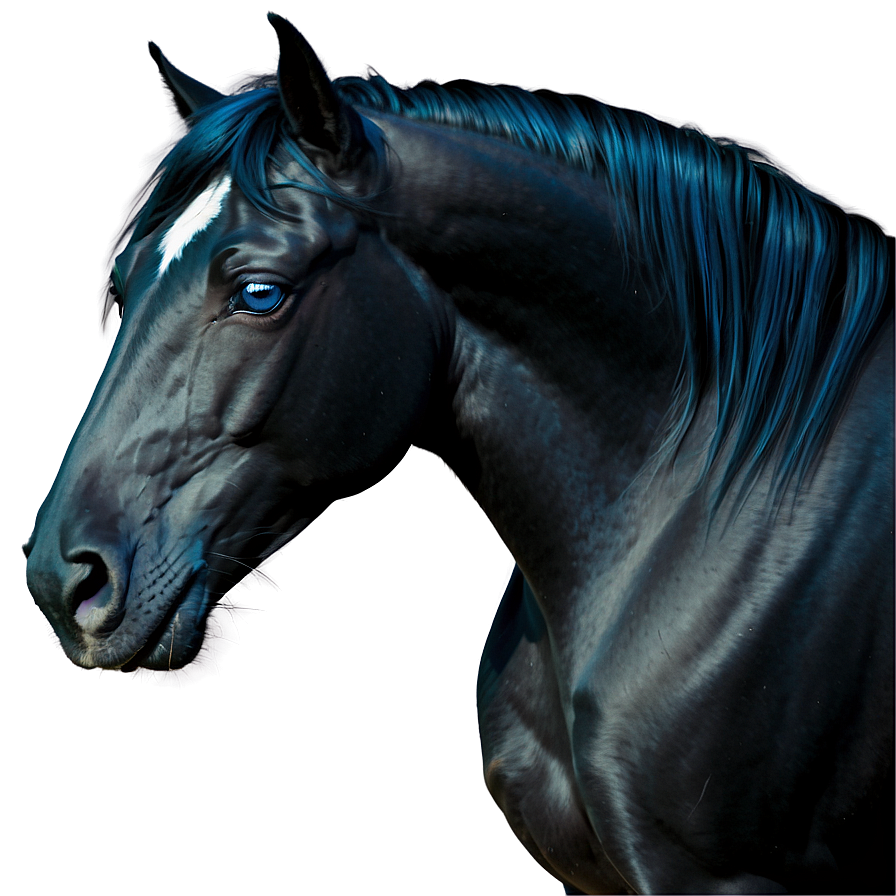 Black Horse With Blue Eyes Png Som