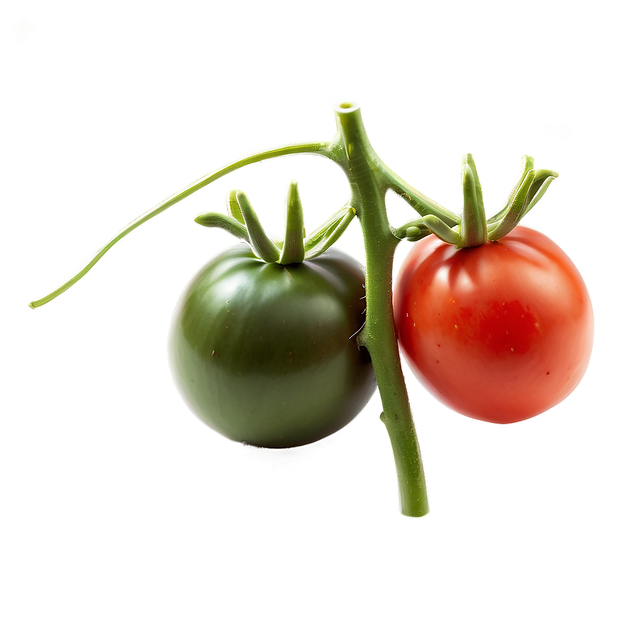 Black Krim Tomato Png Gcy