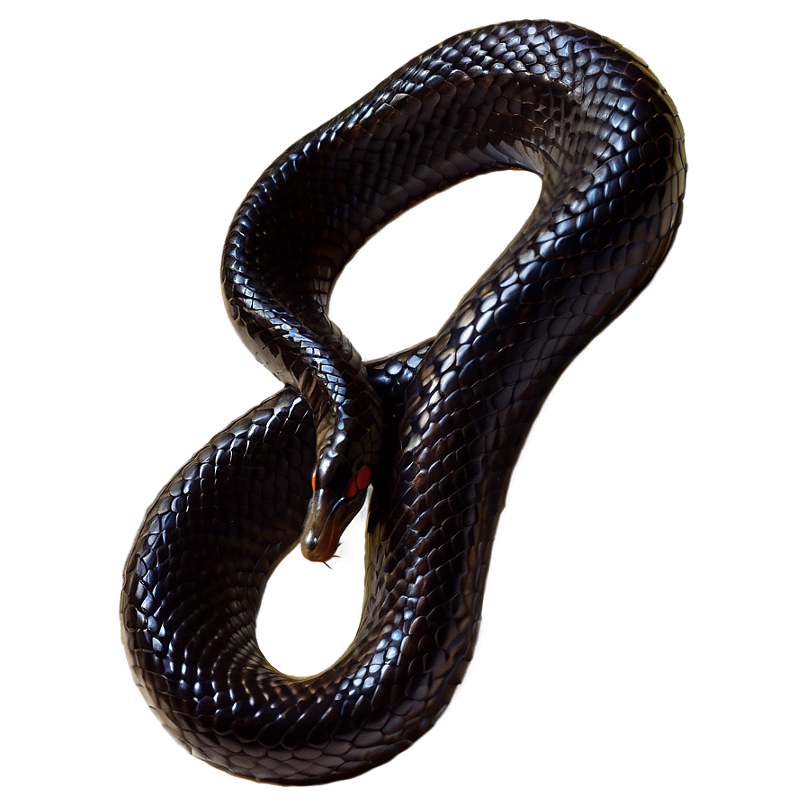 Black Mamba Snake Png 44