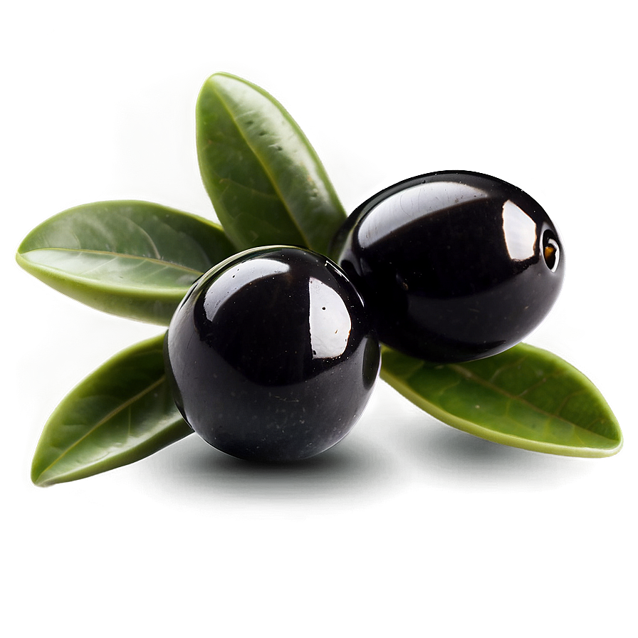 Black Olives On Branch Png 77