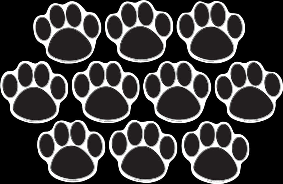 Black Paw Prints Pattern