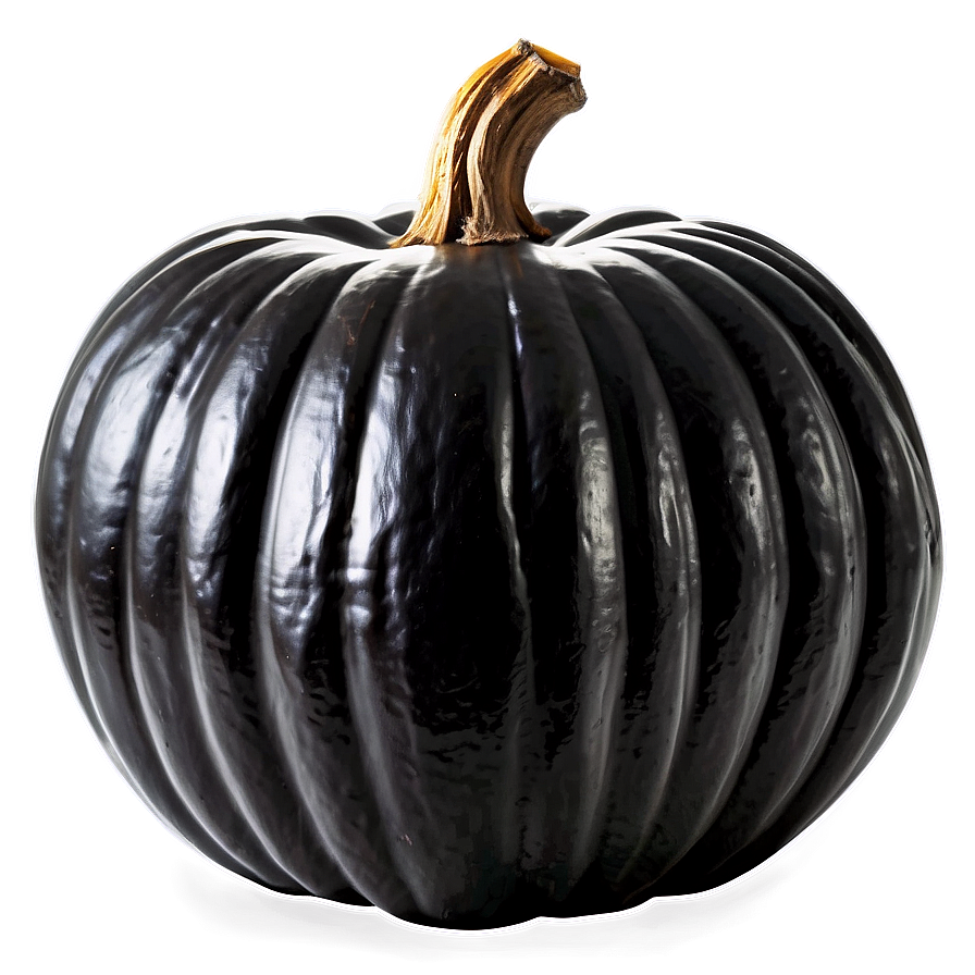 Black Pumpkin Background Png Mhg9