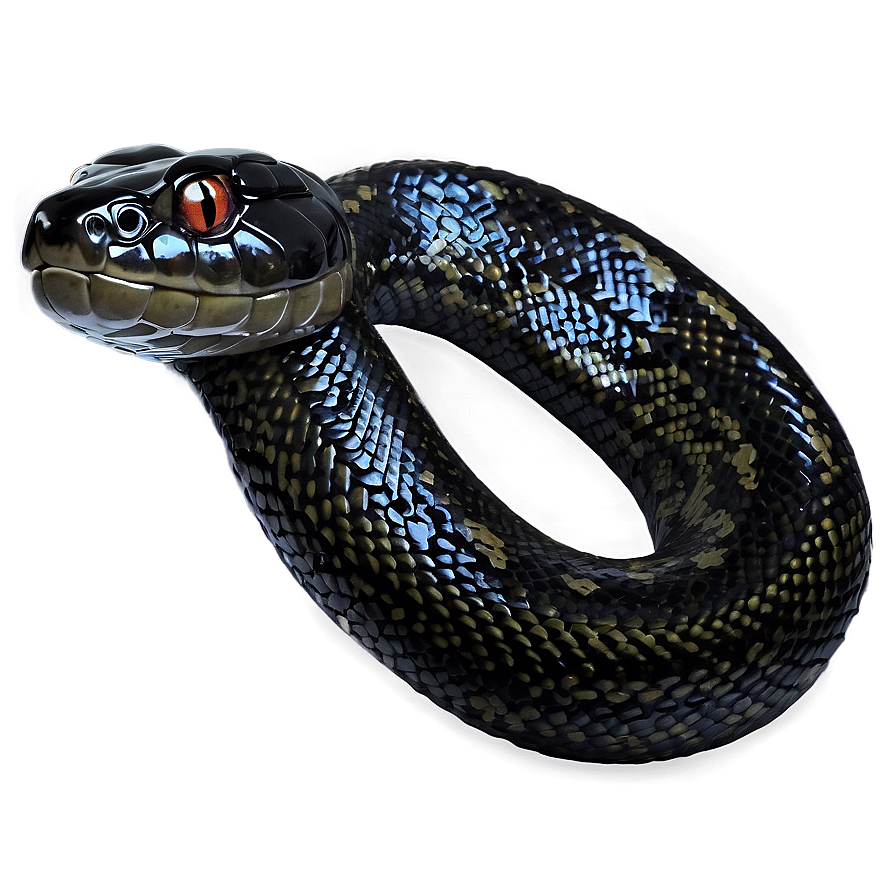 Black Python Illustration Png 64