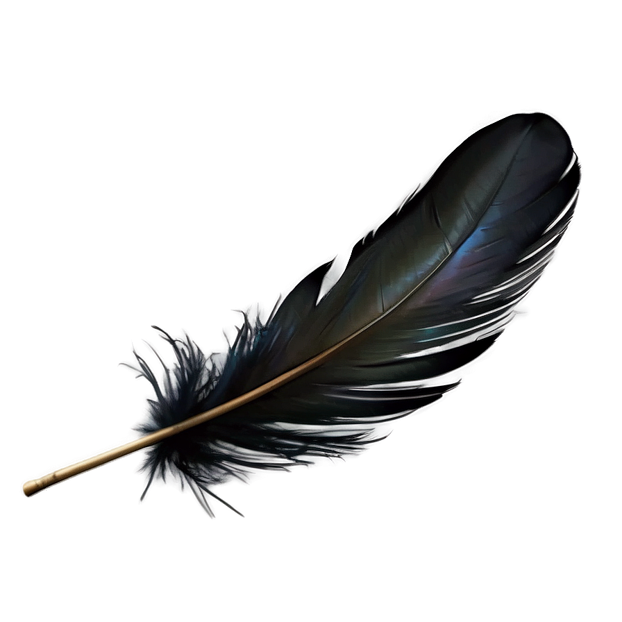 Black Raven Feather Png 49