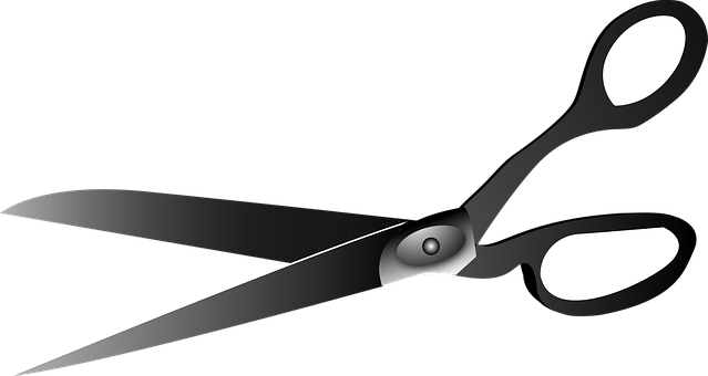 Black Scissors Graphic