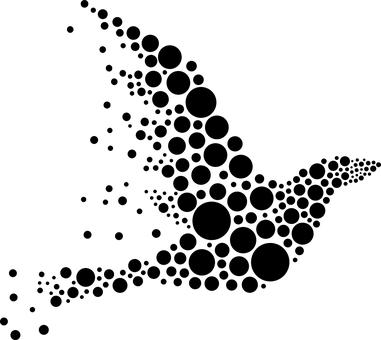 Black Screen Blank Image