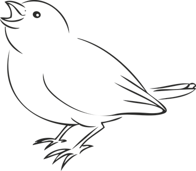 Black Silhouette Bird Illustration