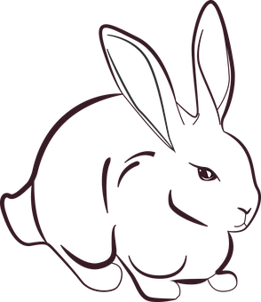 Black Silhouette Rabbit