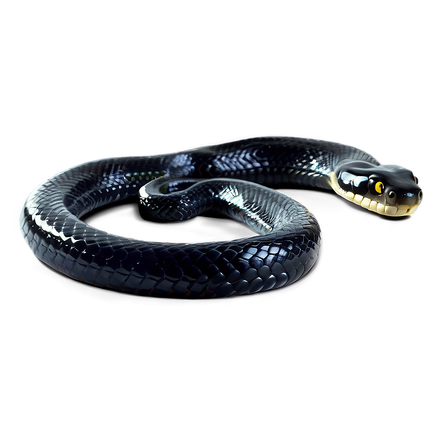 Black Snake Hissing Png Qdk56