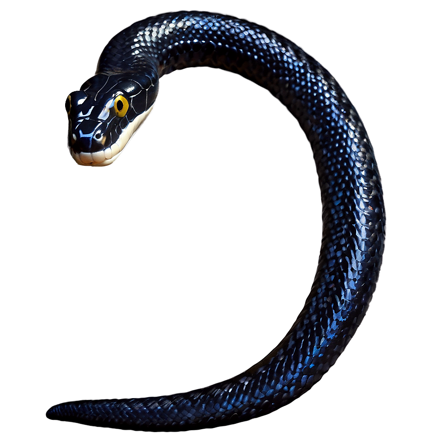 Black Snake In Attack Position Png Dut