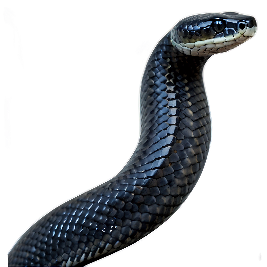 Black Snake In Moonlight Png 06132024