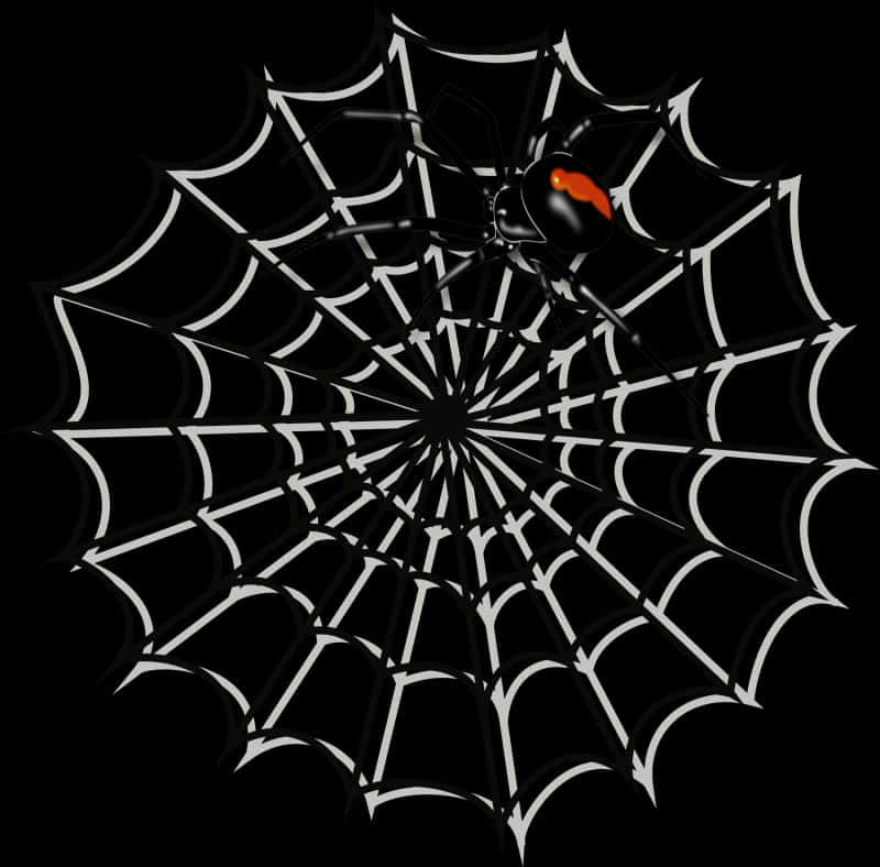 Black Spideron Web