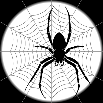 Black Spideron Web Graphic