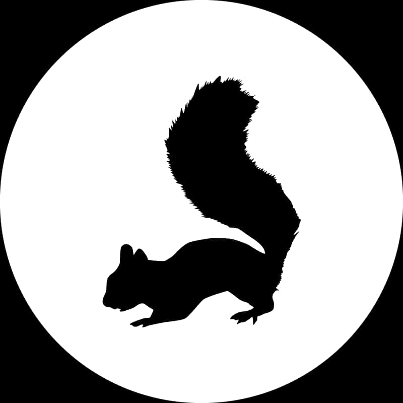 Black Squirrel Silhouette Circle Background