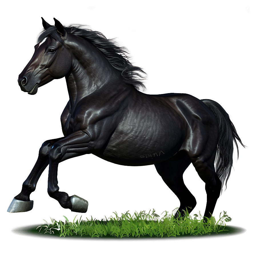 Black Stallion Horse Png Yqb96