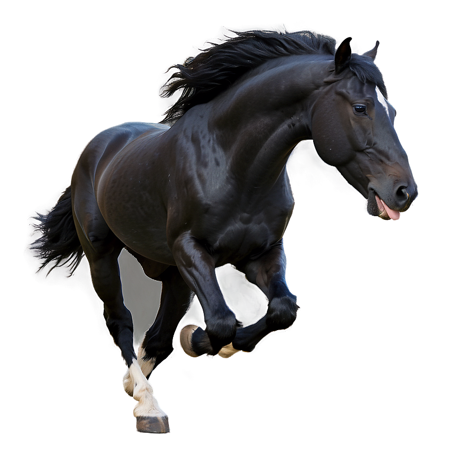 Black Stallion Running Wild Png 25