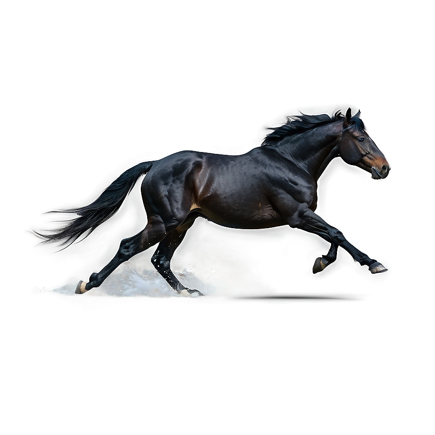 Black Stallion Running Wild Png Khj