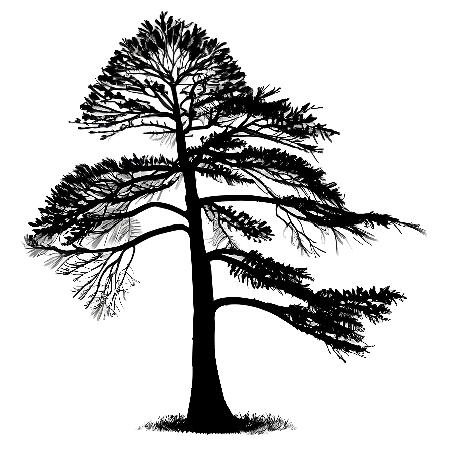 Black Tree In Wind Png 43