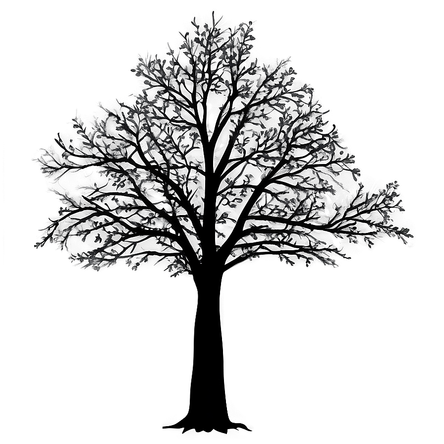 Black Tree Shadow Png Flk34