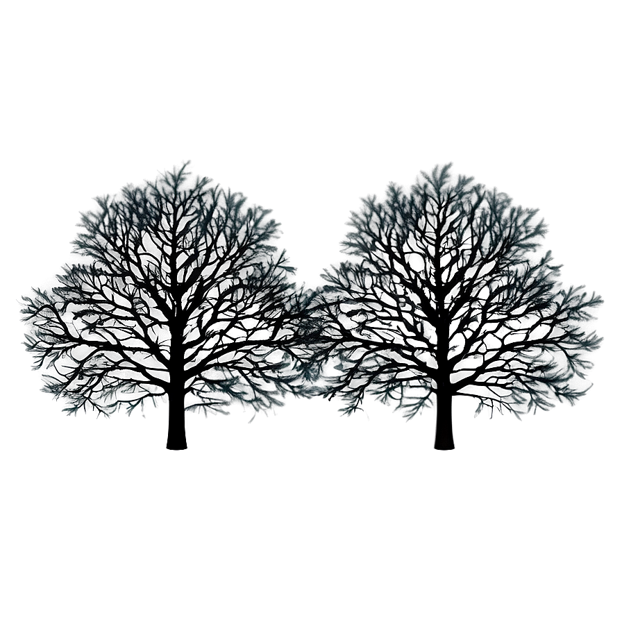 Black Trees Aesthetic Png 06292024