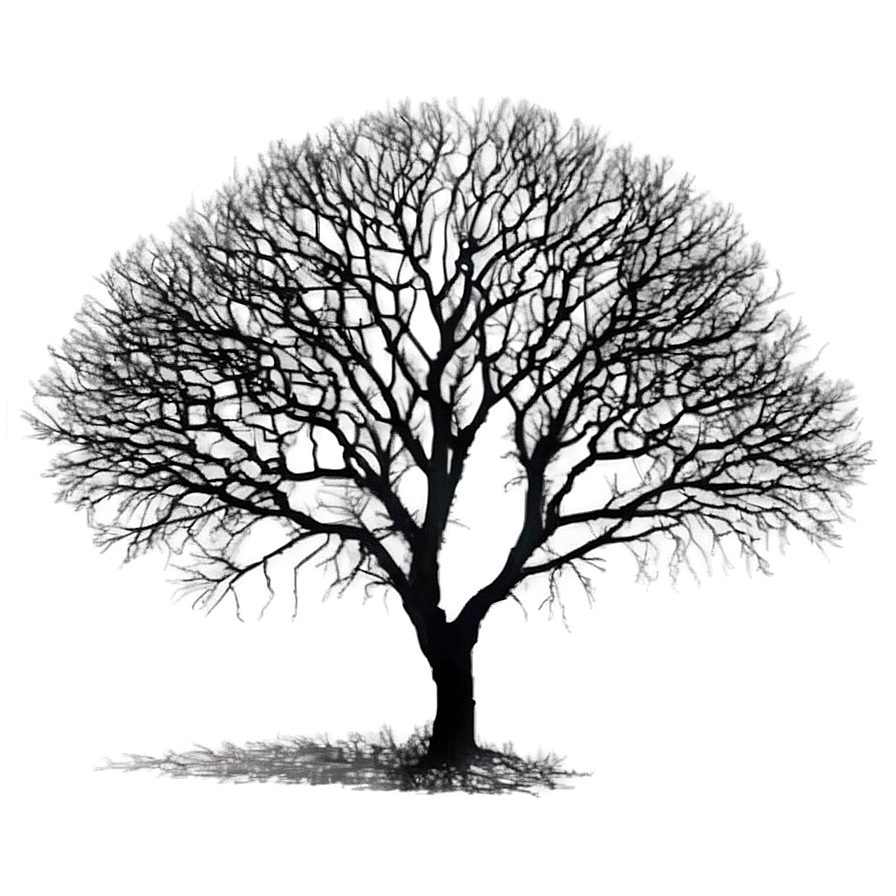 Black Trees And Ravens Png Kce20