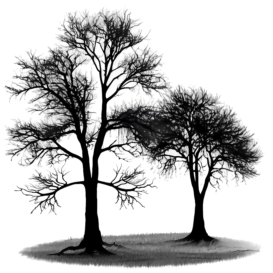 Black Trees In Fog Png 91