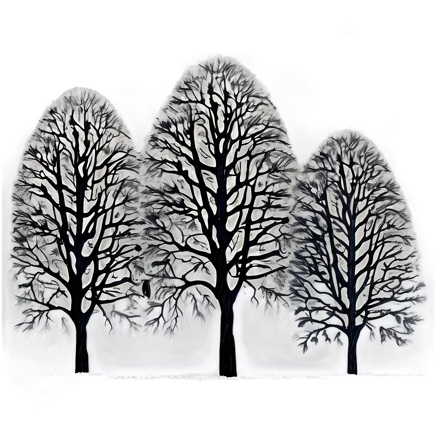 Black Trees In Fog Png Unp16