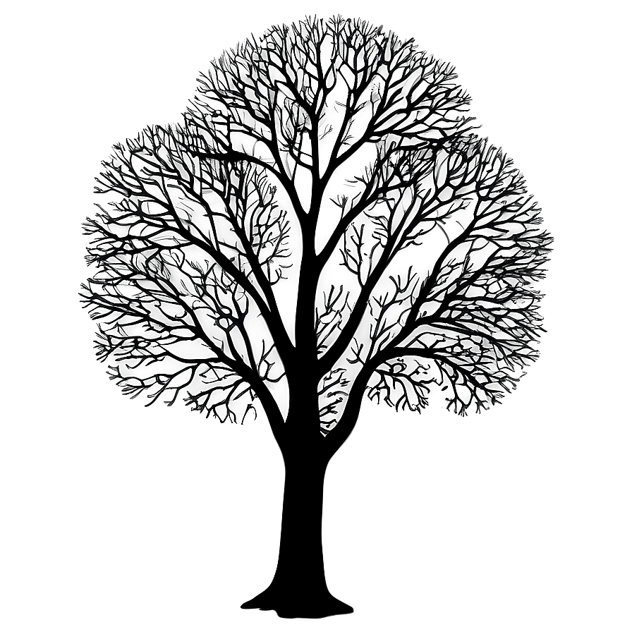 Black Trees Shadow Png Uhq