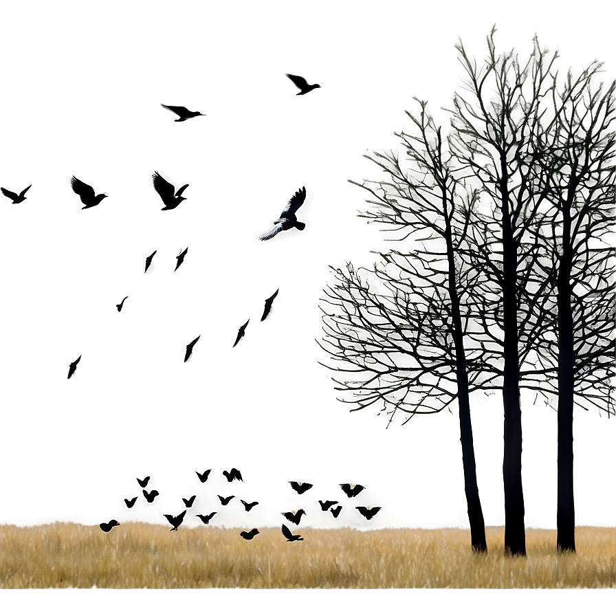 Black Trees With Birds Png 06292024