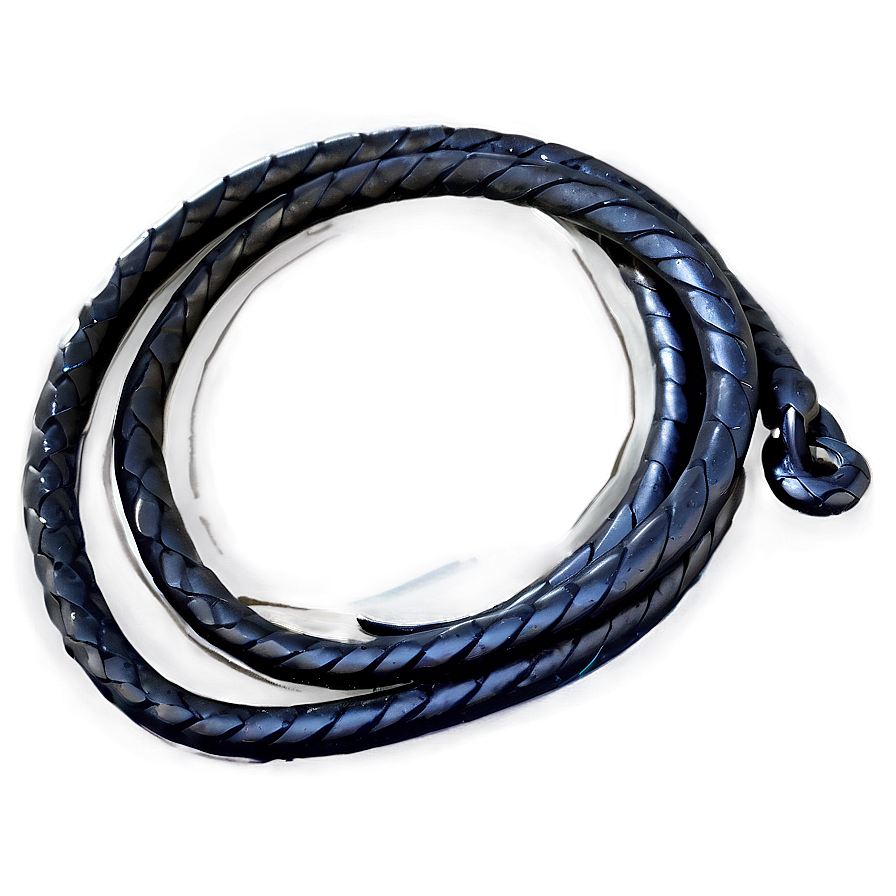 Black Whip Illustration Png 38