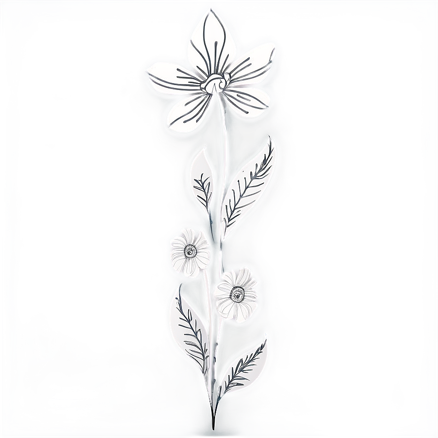 Black White Floral Illustrations Png 06282024