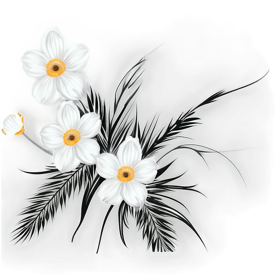 Black White Floral Illustrations Png 61