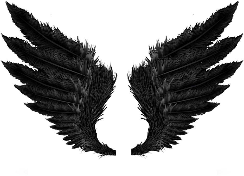 Black Wing Feathers Tattoo Design