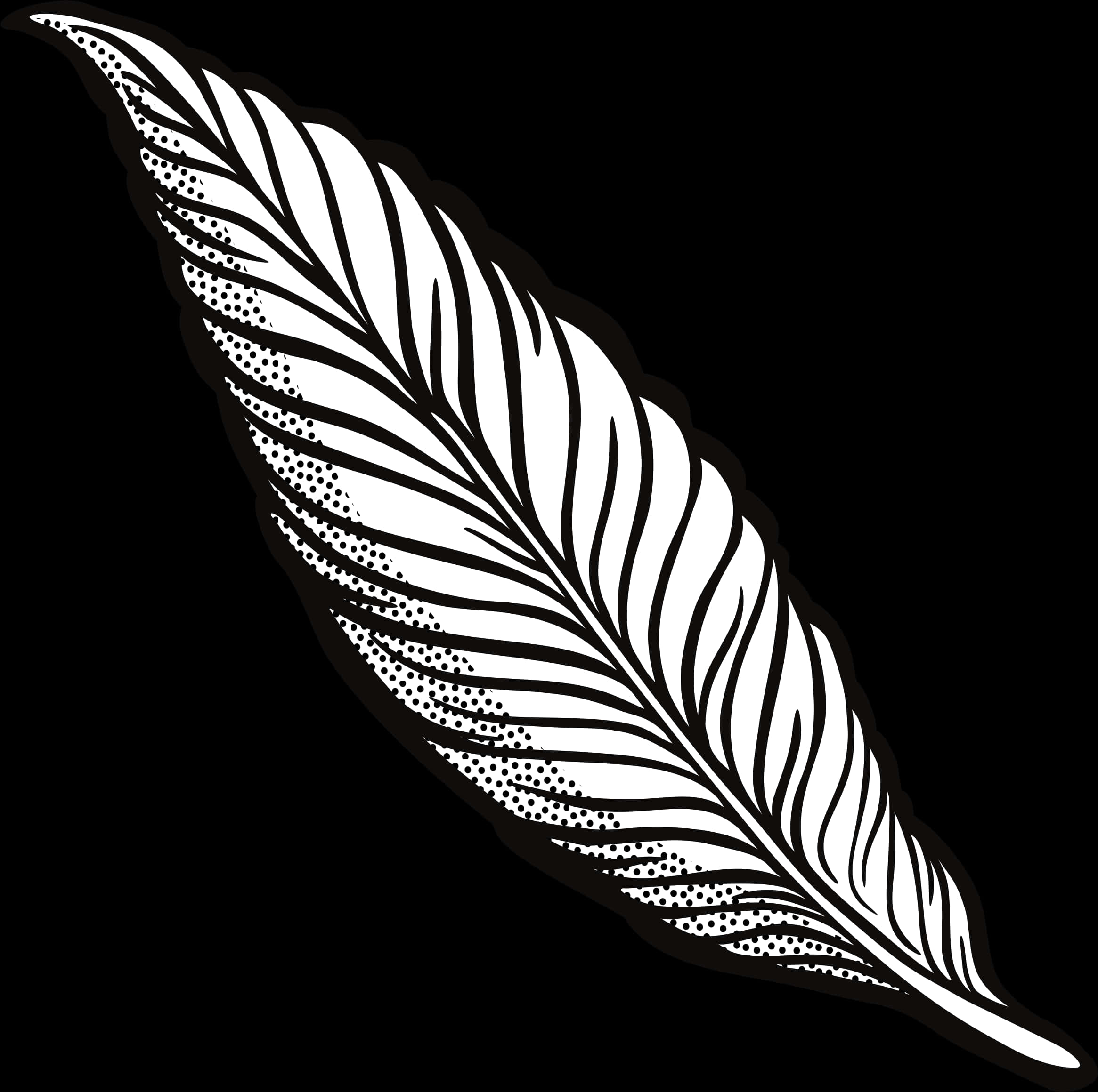 Blackand White Feather Illustration