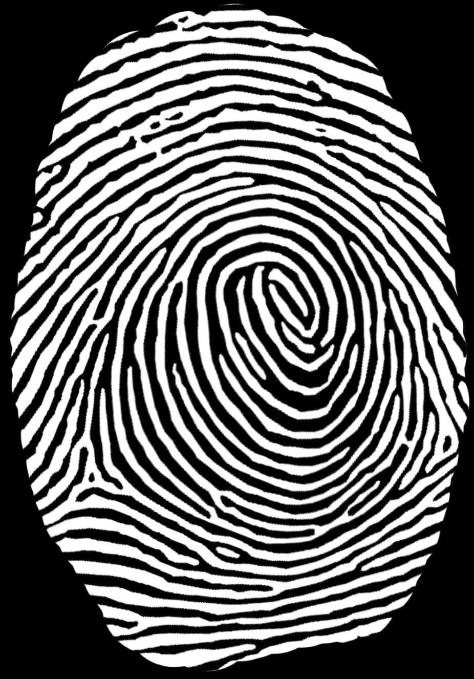 Blackand White Fingerprint Pattern