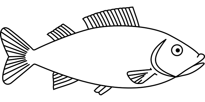 Blackand White Fish Illustration