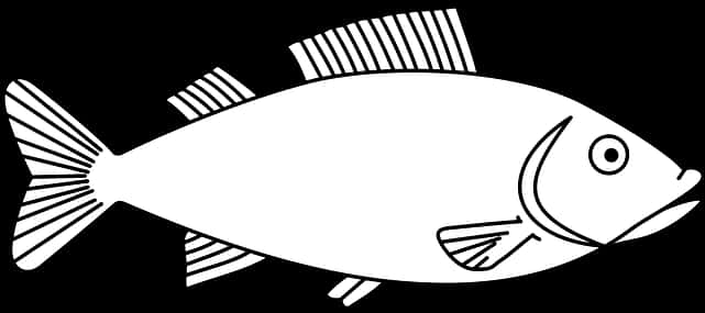 Blackand White Fish Illustration