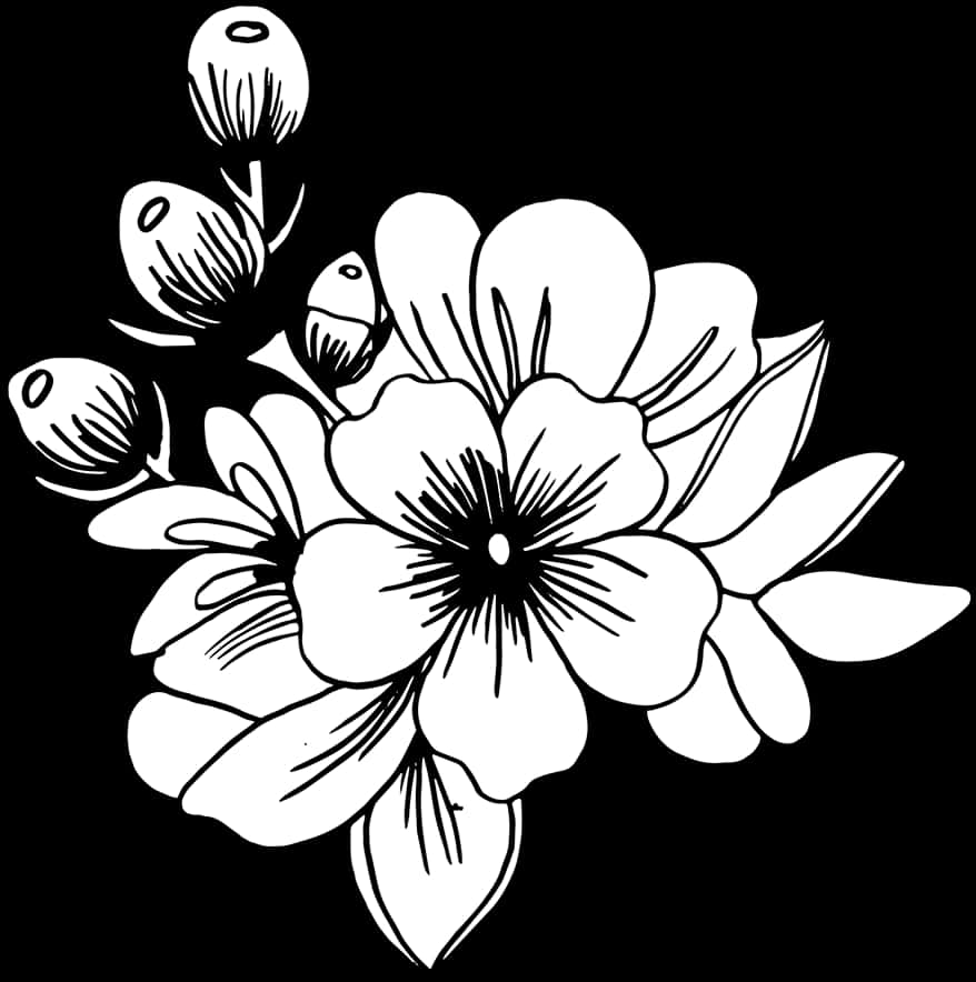 Blackand White Floral Illustration