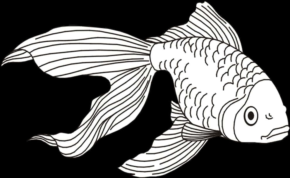 Blackand White Goldfish Illustration