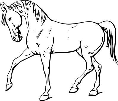 Blackand White Horse Illustration