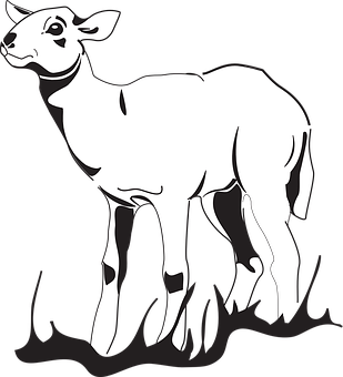 Blackand White Lamb Illustration