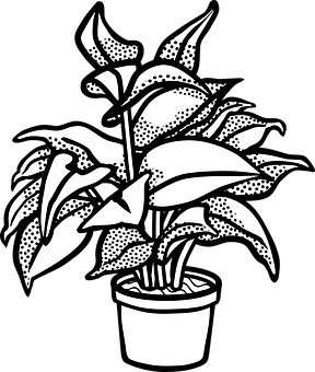 Blackand White Potted Plant Illustration