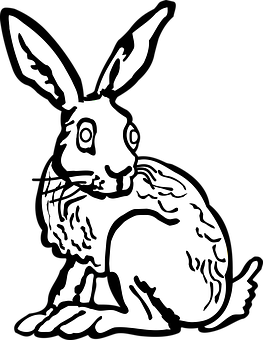 Blackand White Rabbit Illustration