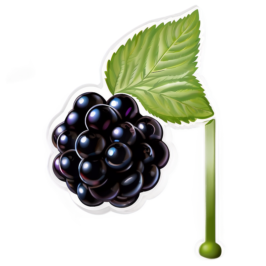 Blackberry Freshness Png Vxx